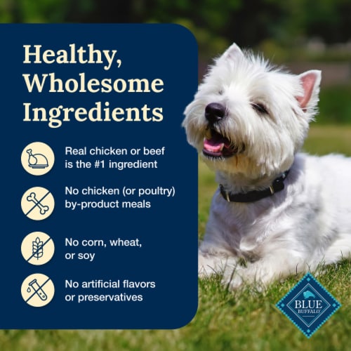 Blue Buffalo Delectables Natural Wet Dog Food Toppers Variety Pack Lamb & Turkey Dinner Perspective: bottom