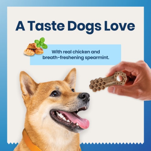 Blue Buffalo Dental Chews Small Natural Dog Treats Chicken & Spearmint Perspective: bottom