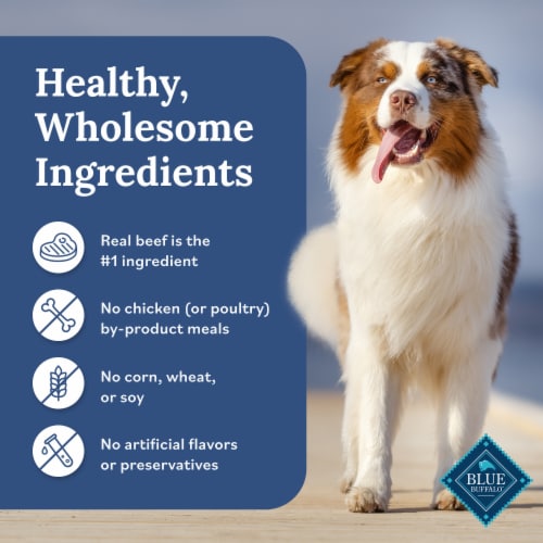 Blue Buffalo Tender Shreds Beef Toppers in Savory Broth, Dog Food Complement, Beef, 2.5-oz Pouch Perspective: bottom