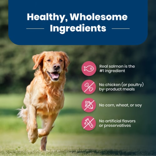 Blue Buffalo Life Protection Formula Adult Dry Dog Food, Salmon & Brown Rice Recipe, 5-lb. Bag Perspective: bottom