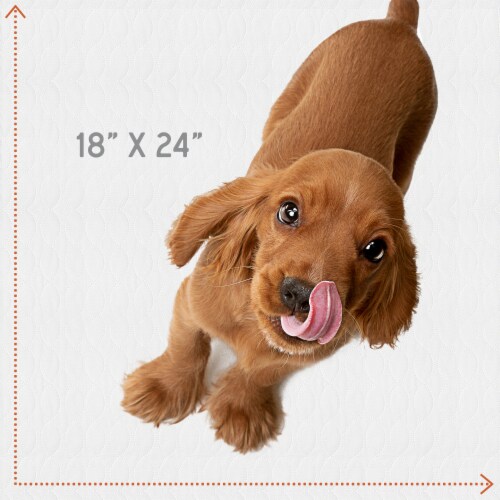 MaxProtect Softies Reusable Pee Pads for Dogs, Cloth-Like Top Layer - 6 Pack, 18  x 24 Perspective: bottom