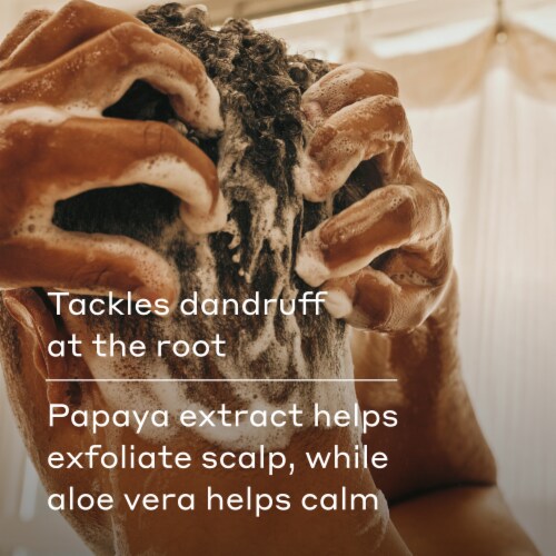 Harry's Extra Strength Anti-Dandruff 2-in-1 Shampoo & Conditioner Perspective: bottom