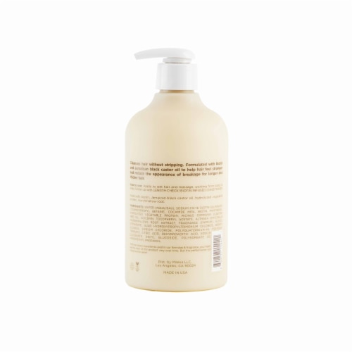 Hairitage Biotin + Castor Oil Hydrating Shampoo For Volumizing, Thickening + Repairing Hair Perspective: bottom