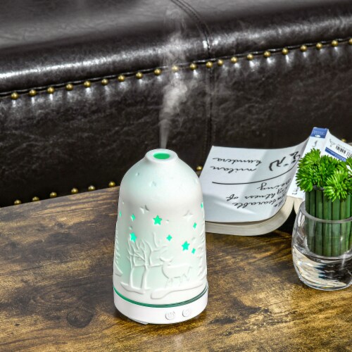 Essential Oil Diffuser Ultrasonic Humidifier w/ LED Lights, 2 Mist Modes, Timer Perspective: bottom