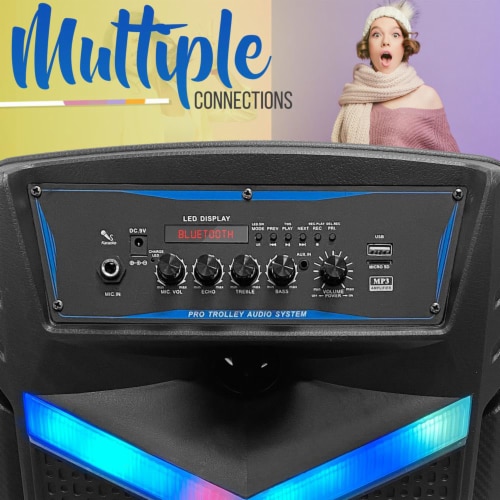Pyle pro hot sale 800 watt