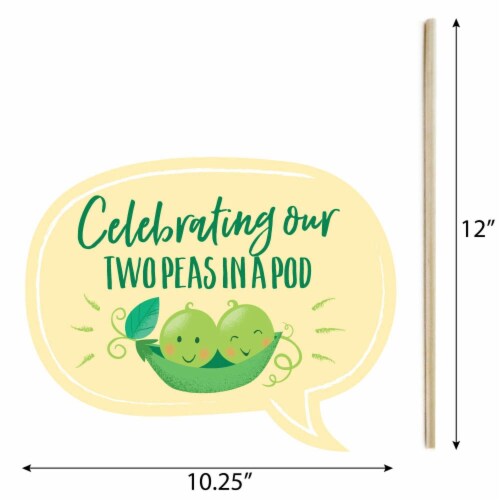 Big Dot of Happiness Funny Double the Fun - Twins Two Peas in a Pod - Photo Booth Props 10 Pc Perspective: bottom