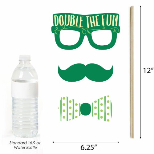 Big Dot of Happiness Double the Fun - Twins Two Peas in a Pod - Photo Booth Props Kit - 20 Ct Perspective: bottom