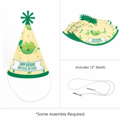 Big Dot of Happiness Double the Fun Twins Two Peas in a Pod Cone Birthday Party Hats 8 Ct Perspective: bottom