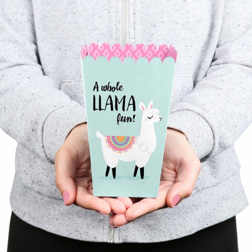 Big Dot of Happiness Whole Llama Fun - Party Favor Popcorn Treat Boxes - 12 Ct Perspective: bottom