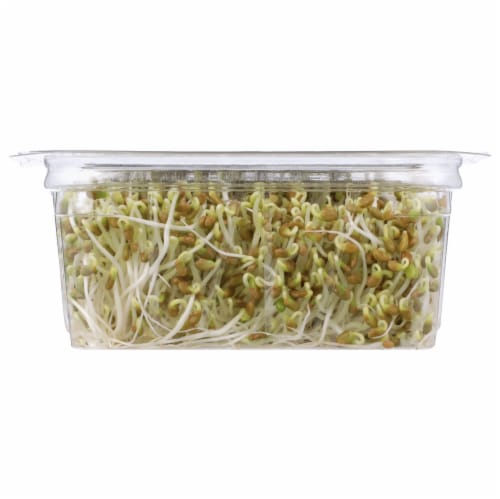 Wild About Sprouts® Crispy Clover & Alfafa Blend Perspective: bottom