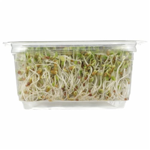 Wild About Sprouts® Tangy Clover & Broccoli Perspective: bottom