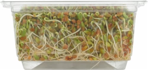 Wild About Sprouts® Clover Perspective: bottom