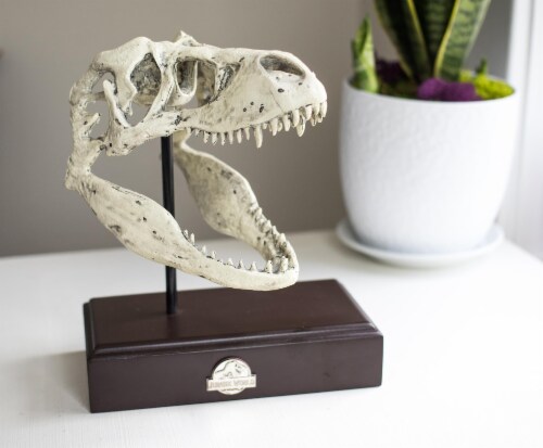 Jurassic World 9x8 Inch Tyrannosaurus Rex Skull Resin Replica Perspective: bottom
