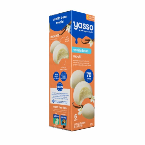 Yasso Frozen Greek Yogurt Vanilla Mochi Perspective: bottom