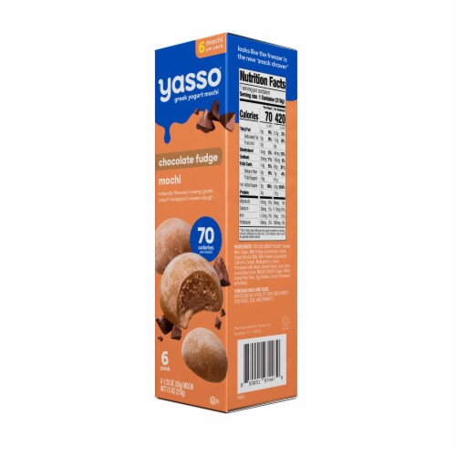 Yasso Frozen Greek Yogurt Chocolate Mochi Perspective: bottom