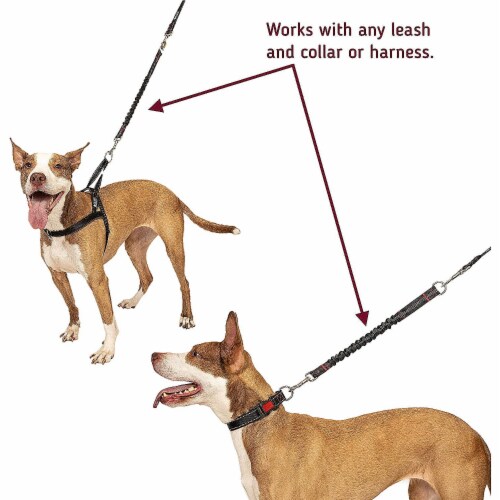 Bungee dog leash extension shop