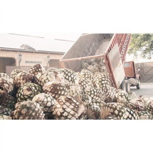 Cincoro™ Anejo Tequila Perspective: bottom