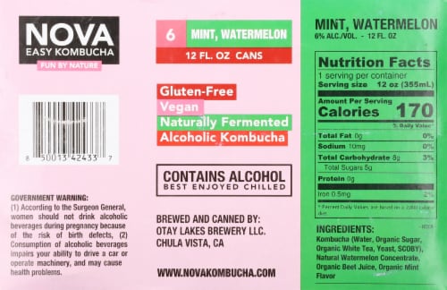Nova Mint Watermelon Kombucha Alcoholic Beverage Perspective: bottom