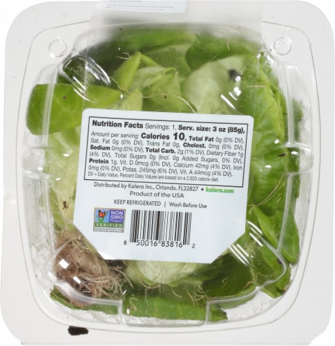 Kalera® Living Hydroponic Butter Lettuce Perspective: bottom