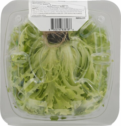 Kalera Living Hydroponic Frisee Lettuce Perspective: bottom
