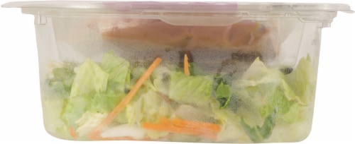 Simply Fresh Salads® Crunchy Asian Style Salad Shaker Perspective: bottom