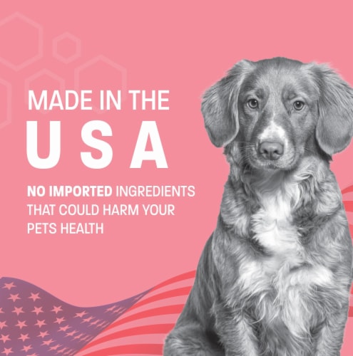 Pet Health Pros - Advanced Probiotics for Dogs - Promotes Happy Gut, Happy Dog Perspective: bottom