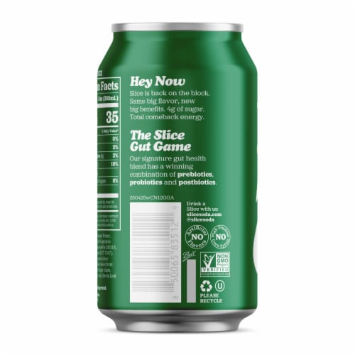 Slice Ginger Ale Healthy Soda Perspective: bottom