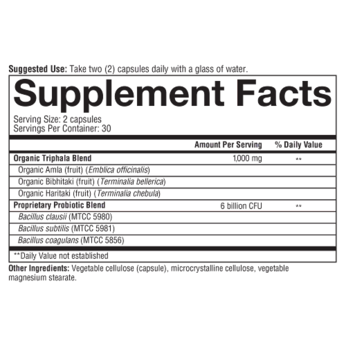 Youtheory® Spore Probiotic Plus Prebiotic Powder Perspective: bottom
