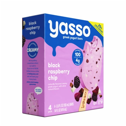 Yasso Black Raspberry Chip Frozen Greek Yogurt Bars Perspective: bottom
