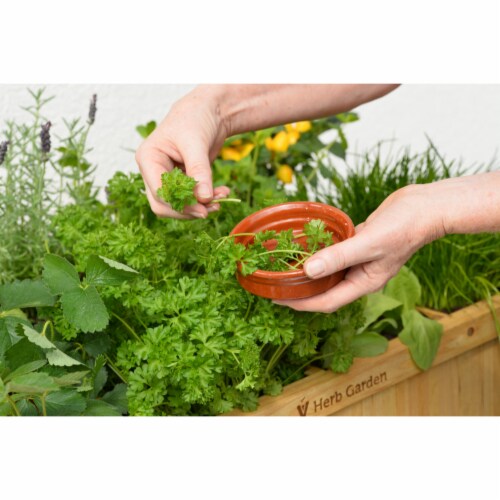 VegTrug Herb Garden (divider) Gray Wash FSC 100% Perspective: bottom