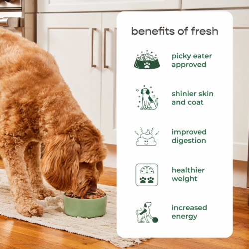 Freshpet Select Slice & Serve Roll Chunky Beef Recipe Dog Food Perspective: bottom