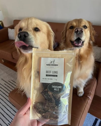 Retriever dog treats hotsell