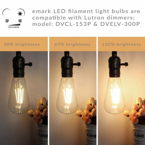 Vintage Style 40 Watt Equivalent Warm White ST64 Dimmable LED Light Bulb 4 Gerbes Super Markets