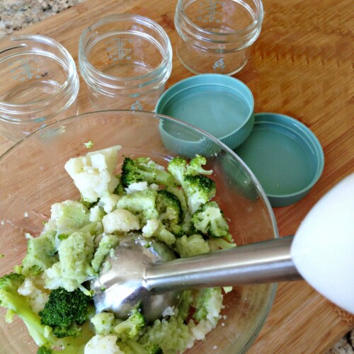 Sage spoonfuls sage baby puree sales & blend