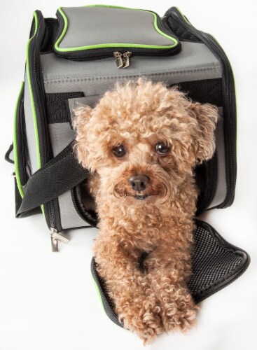 Skysmart airline approved pet carrier new arrivals