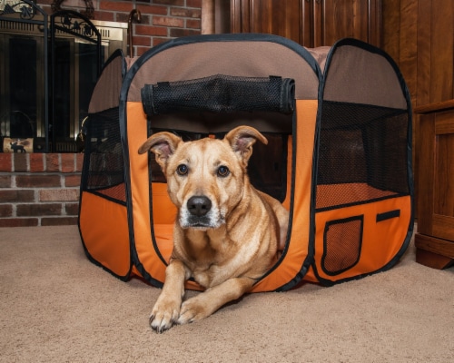 Pet Life All Terrain Lightweight Easy Folding Wire Framed