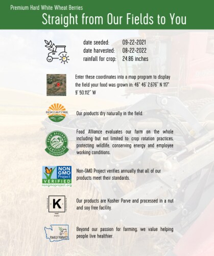 Palouse Brand Hard White Wheat Berries, 12 LBS ( 3 - 4 LB Kraft Re-Sealable Bags) Perspective: bottom