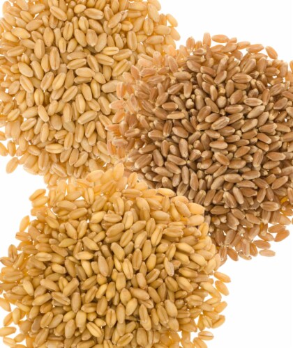 Wheat Pack: Soft White, Hard White, Hard Red Spring Wheat Berries, 12 LBS (4 LBS each) Perspective: bottom