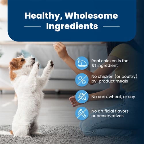 Blue Buffalo Life Protection Formula Natural Puppy Dry Dog Food Chicken & Brown Rice Perspective: bottom