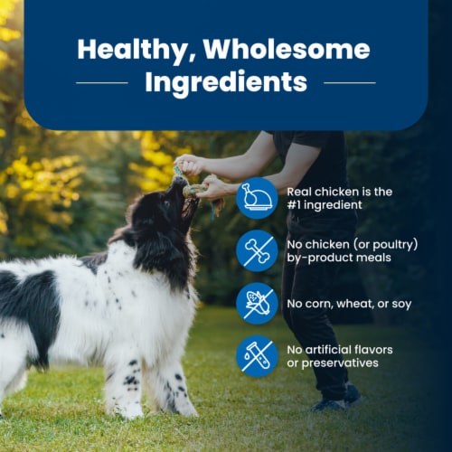Blue Buffalo Life Protection Formula Natural Adult Dry Dog Food Chicken & Brown Rice Perspective: bottom