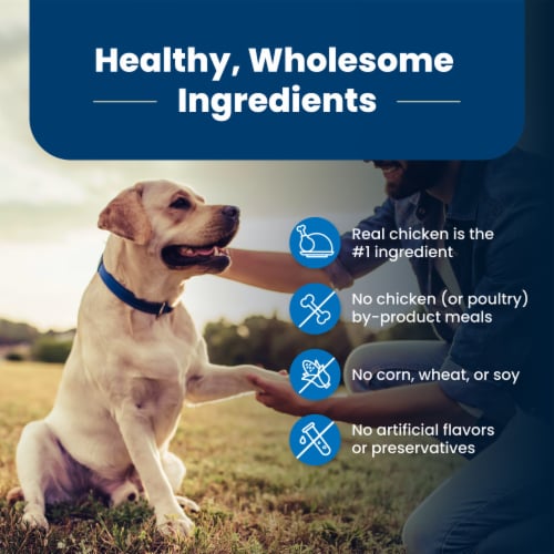 Blue Buffalo Life Protection Formula Natural Chicken and Brown Rice Senior Dry Dog Food Perspective: bottom