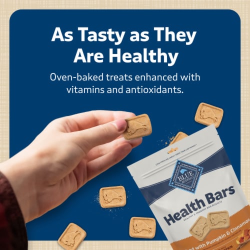 Blue Buffalo Health Bars Natural Pumpkin & Cinnamon Crunchy Dog Treat Biscuits Perspective: bottom