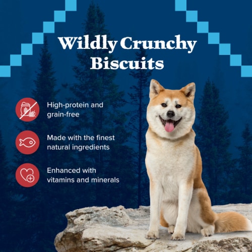 Blue Buffalo Wilderness Grain-Free Trail Treats Crunchy Dog Treats Biscuits Salmon Perspective: bottom