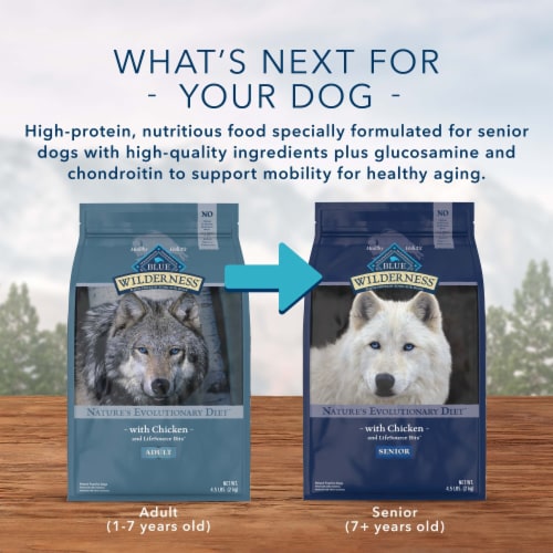 Blue Buffalo Wilderness High Protein Natural Chicken Adult Small Breed Dry Dog Food Perspective: bottom
