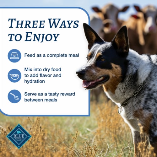 Blue Buffalo Family Favorites Adult Wet Dog Food Sunday Chicken Dinner Perspective: bottom