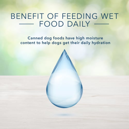 Blue Buffalo Freedom Grain-Free Chicken Recipe Adult Dog Food Perspective: bottom