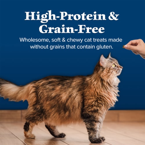 Blue Buffalo Wilderness Grain-Free Soft-Moist Cat Treats Chicken & Turkey Perspective: bottom