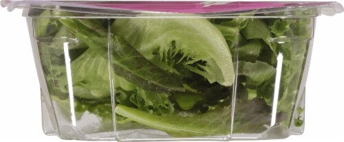 Greenswell Growers Refreshing Romaine Blend Perspective: bottom