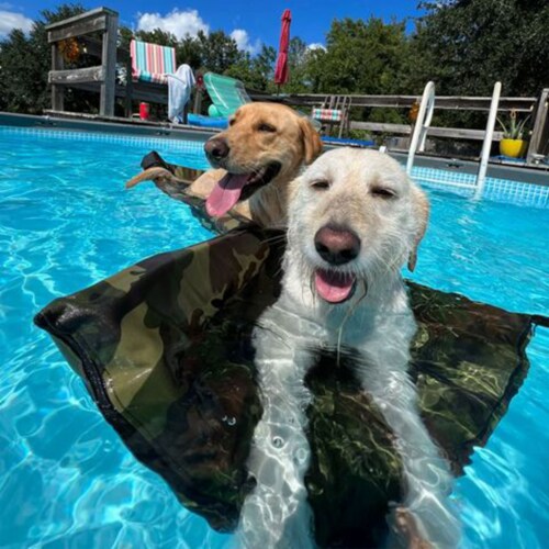 The Better Options Company Camo Lazy Dog Pool Lounger and Lake Raft Float, Large Perspective: bottom