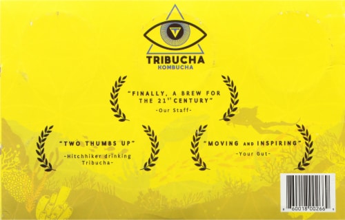 Tribucha Main Squeeze Kombucha Pack Perspective: bottom